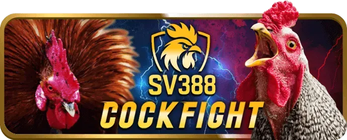 Chương trình hoàn trả JJ88